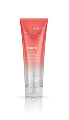 Matu kondicionieris aizsardzībai un spīdumam sausiem matiem Joico Youth Lock Conditioner, 250 ml cena un informācija | Matu kondicionieri, balzāmi | 220.lv