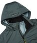 Icepeak vīriešu softshell jaka Biggs 57974-5*585, zaļa 6438568139773 cena un informācija | Vīriešu virsjakas | 220.lv