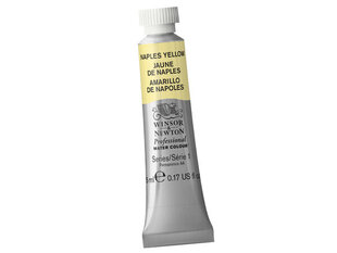 Akvareļkrāsas Winsor&Newton, 5ml cena un informācija | Modelēšanas un zīmēšanas piederumi | 220.lv