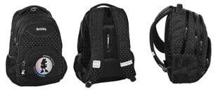 Школьный рюкзак Paso Disney Minnie, DM24YY-2708 цена и информация | Школьные рюкзаки, спортивные сумки | 220.lv