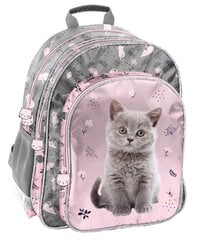 Skolas mugursoma Paso Cat, PP24CT-090 цена и информация | Школьные рюкзаки, спортивные сумки | 220.lv