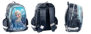 Школьный рюкзак Paso Disney Frozen, DF24RR-081 цена и информация | Школьные рюкзаки, спортивные сумки | 220.lv