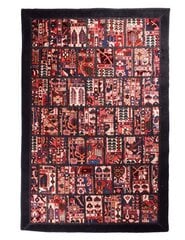 Bakhtiary paklājs 245x165 cm цена и информация | Ковры | 220.lv