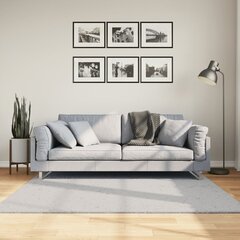 vidaXL paklājs 160x160 cm цена и информация | Ковры | 220.lv