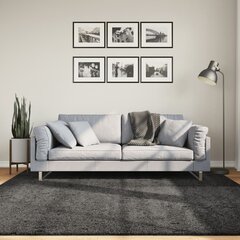 vidaXL paklājs 200x200 cm цена и информация | Ковры | 220.lv