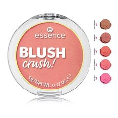 Essence Blush Crush! 5ml цена и информация | Бронзеры (бронзаторы), румяна | 220.lv