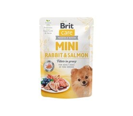 Brit Care Mini Rabbit&Salmon fillets in гravy влажный для придирчивых, корм для собак мелких пород, 85 г x 24 цена и информация | Консервы для собак | 220.lv