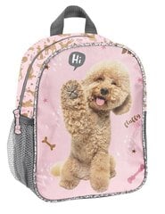 Рюкзак школьный Paso Poodle, PP24PU-303 цена и информация | Школьные рюкзаки, спортивные сумки | 220.lv