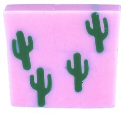 Ziepes Cactus Makes Perfect Soap Slice, 100g cena un informācija | Ziepes | 220.lv