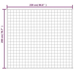 Sega, 2 gab.00x2 gab.2 gab.0 cm cena un informācija | Segas | 220.lv