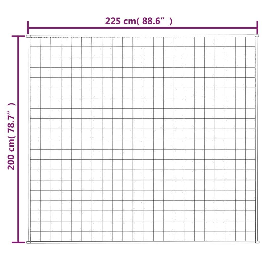 VidaXL smaga sega, 2 gab.00x2 gab.2 gab.5cm cena un informācija | Segas | 220.lv