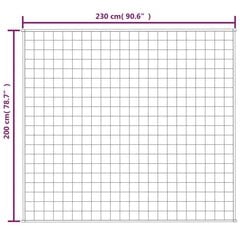 VidaXL smaga sega, 2 gab.00x2 gab.30cm cena un informācija | Segas | 220.lv