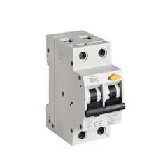 Автоматический выключатель KRO6 2P B20 30mA AC Ideal цена и информация | Электрические выключатели, розетки | 220.lv
