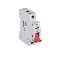 Изолирующий выключатель-разъединитель KMI 40A 1P Ideal цена и информация | Электрические выключатели, розетки | 220.lv