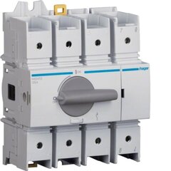 Выключатель-разъединитель HAD412 125A 4P Hager цена и информация | Электрические выключатели, розетки | 220.lv