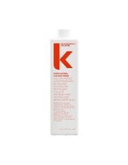 Matu kondicionieris krāsotiem matiem Kevin Murphy Everlasting Color Rinse, 1000 ml cena un informācija | Matu kondicionieri, balzāmi | 220.lv