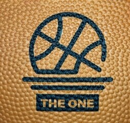 Basketbola bumba Majestic Sport, TheOne 7. izmērs цена и информация | Баскетбольные мячи | 220.lv