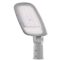 LED ielas gaismeklis SOLIS 30W 3600lm WW cena un informācija | Āra apgaismojums | 220.lv