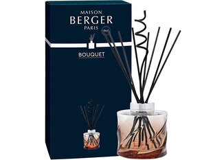 Домашний аромат с палочками Maison Berger Paris Spiral Bouquet Reed Diffuser Amber (без запаха), 200 мл цена и информация | Ароматы для дома | 220.lv