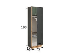 Шкаф Synnax антрацит / дуб цена и информация | Шкафы в прихожую | 220.lv