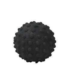 Массажный мяч для йоги цена и информация | Товары для йоги | 220.lv