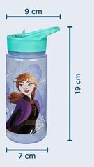 Ūdens pudele Disney Frozen, 500 ml cena un informācija | Ūdens pudeles | 220.lv