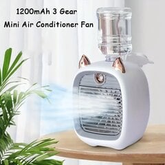 Deal mini gaisa kondicionieris, 100W cena un informācija | Ventilatori | 220.lv