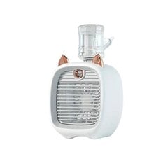 Deal mini gaisa kondicionieris, 100W cena un informācija | Ventilatori | 220.lv