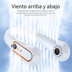 Deal kakla ventilators, 100W cena un informācija | Ventilatori | 220.lv