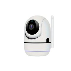 Deal kamera 2.4G цена и информация | Камеры видеонаблюдения | 220.lv