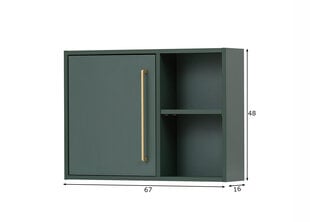 Шкаф в ванную Kent зелёный цена и информация | Шкафчики для ванной | 220.lv