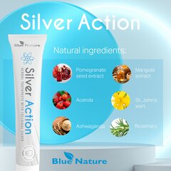 Balinoša zobu pasta ar koloidālo sudrabu Alinco Silver Action Blue Nature, 50 ml cena un informācija | Zobu pastas, birstes | 220.lv