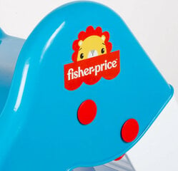 Slidkalniņš Fisher Price, zils cena un informācija | Slidkalniņi, kāpšanas konstruktori | 220.lv