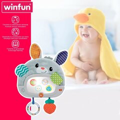 Zīdaiņu rotaļlieta Winfun Rabbit, 4 gab. цена и информация | Развивающие игрушки | 220.lv