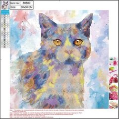 Алмазная мозаика 5D "Cat" 30x30cm цена и информация | Алмазная мозаика | 220.lv