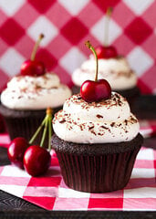 Dimanta mozaīka Wizardi Cherry Cupcake, 27x38 cm cena un informācija | Dimantu mozaīkas | 220.lv