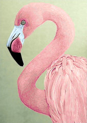 Dimanta mozaīkas komplekts Wizardi Pink Flamingo, 27x38 cm cena un informācija | Dimantu mozaīkas | 220.lv