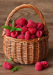 Dimanta mozaīkas komplekts Wizardi Raspberry Basket, 27x38 cm cena un informācija | Dimantu mozaīkas | 220.lv