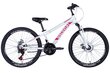 Bērnu tūrisma velosipēds Discovery Rider 24", balts/rozā cena un informācija | Velosipēdi | 220.lv