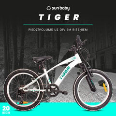 Velosipēds zēniem Tiger Bike Shimano RevoShift 6, 20", balts cena un informācija | Velosipēdi | 220.lv