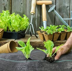 Agroplēve pret nezālēm JohnGreen, 100 x 0,8 m, 70 g/m², melna cena un informācija | Dārza instrumenti | 220.lv