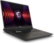 MSI Vector 17 HX A13VIG-833PL (A13VIG-833PL) цена и информация | Portatīvie datori | 220.lv