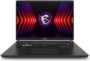 MSI Vector 17 HX A13VIG-833PL (A13VIG-833PL) цена и информация | Ноутбуки | 220.lv