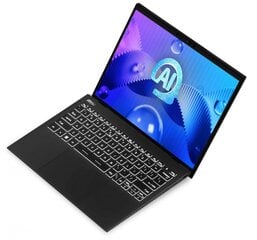 MSI Prestige 13 AI Evo A1MG-070PL (A1MG-070PL) цена и информация | Ноутбуки | 220.lv