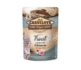 Carnilove Trout Echinacea беззерновой влажный корм для кошек, 85 г x 12 цена и информация | Консервы для котов | 220.lv