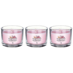 Yankee Candle Votive sveču komplekts stiklā Pink Cherry Vanilla 3 x 37 g cena un informācija | Sveces un svečturi | 220.lv