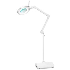 Kosmētiskā lupa lampiņa ar palielināmo stiklu uz statīva 5 dpi 60x LED diam. 127 mm 10130471 cena un informācija | Galda lampas | 220.lv