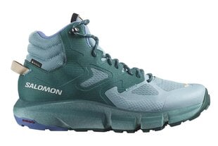 Salomon Predict Hike Mid Gtx W sieviešu treka apavi цена и информация | Женские туфли | 220.lv