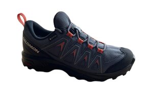 Sieviešu Salomon X Braze Gtx treka skriešanas apavi цена и информация | Женские туфли | 220.lv