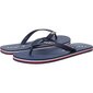 Vīriešu Pepe Jeans Swimming 2.0 flip flops cena un informācija | Vīriešu iešļūcenes, čības, sandales | 220.lv